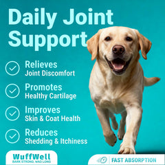 WuffWell dog collagen drops dropper application for easy daily use.