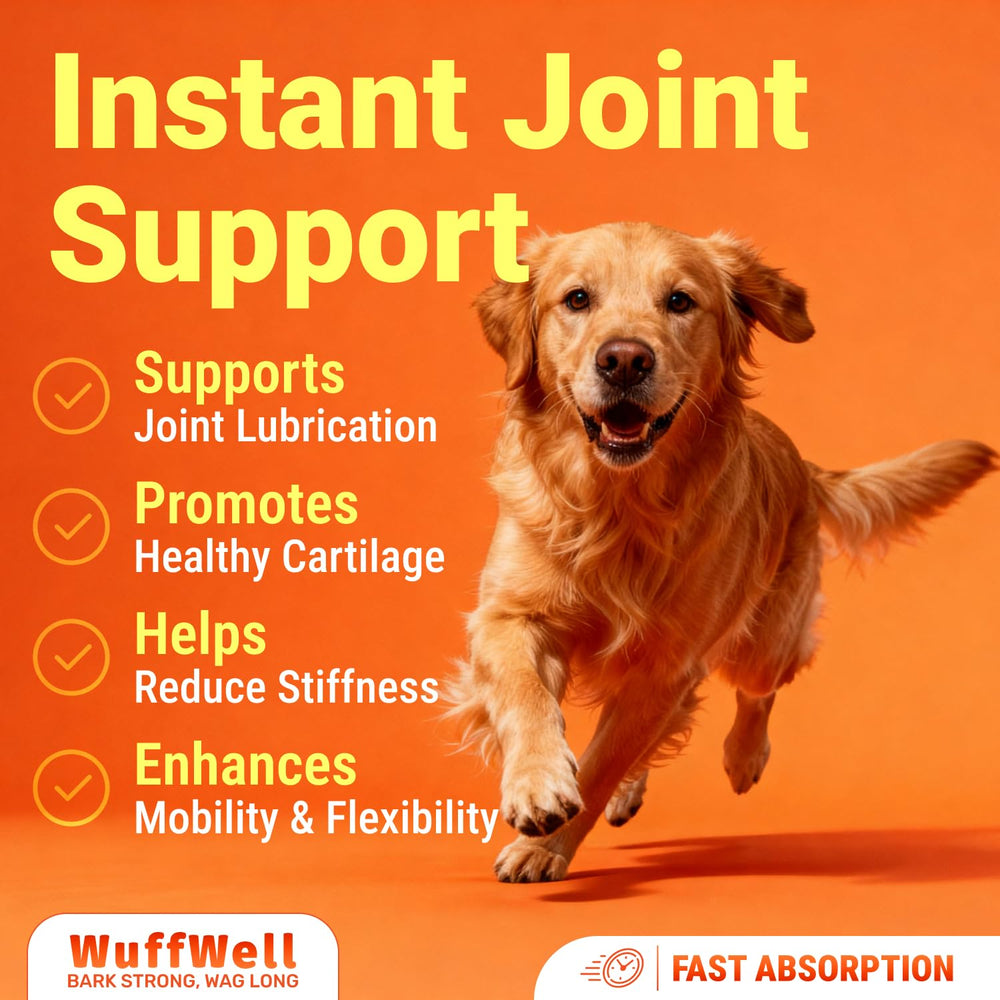 WuffWell mixed into a dish for easy daily supplementation.