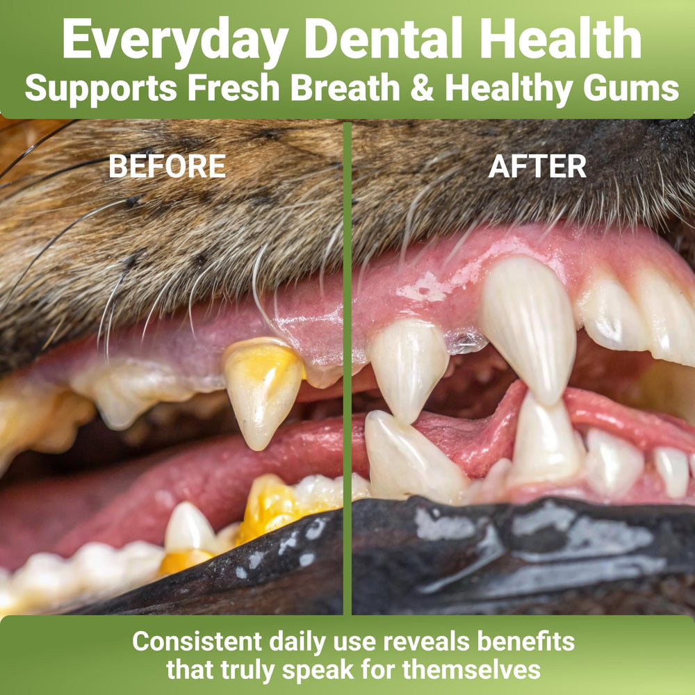 WuffWell natural ingredients dental powder highlighting a gentle daily formula