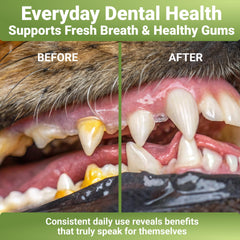 WuffWell natural ingredients dental powder highlighting a gentle daily formula