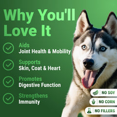 WuffWell beef-flavor serving helps dogs enjoy greens with meals.