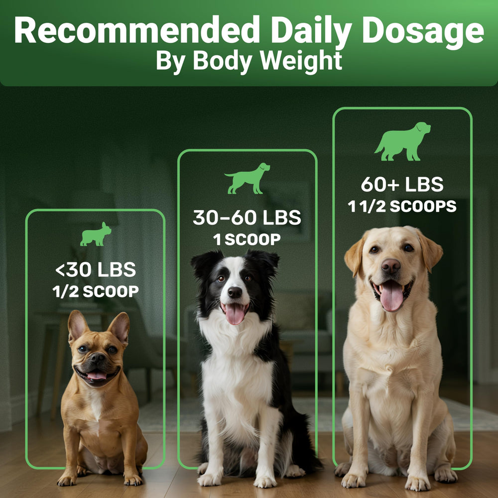 WuffWell immune-defense image suggesting balanced immune support.