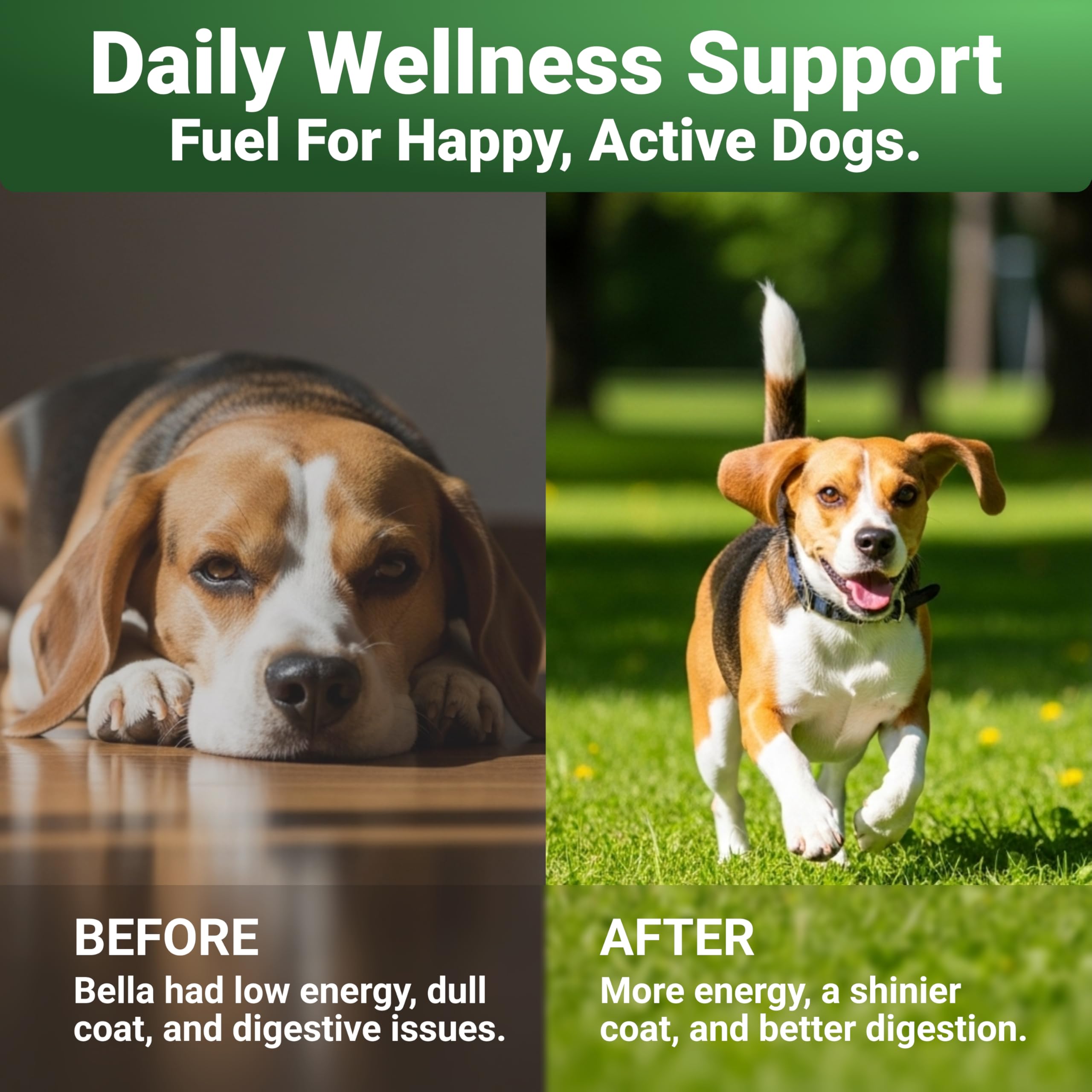 WuffWell joint-support image showing smoother movement during walks.