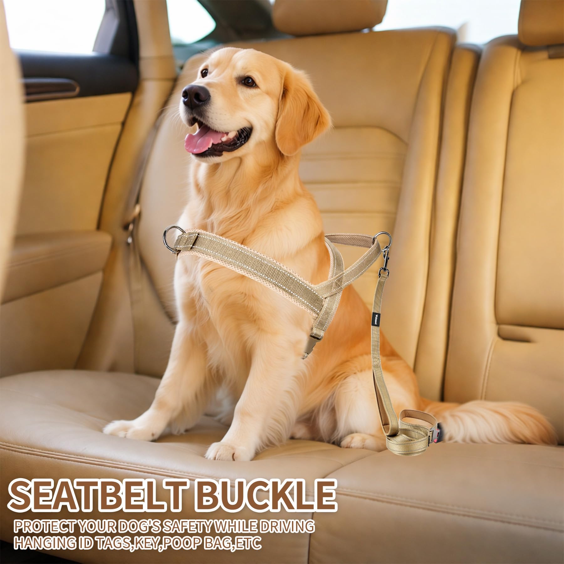 Wuhnesd Breathable mesh keeps dogs comfy all day