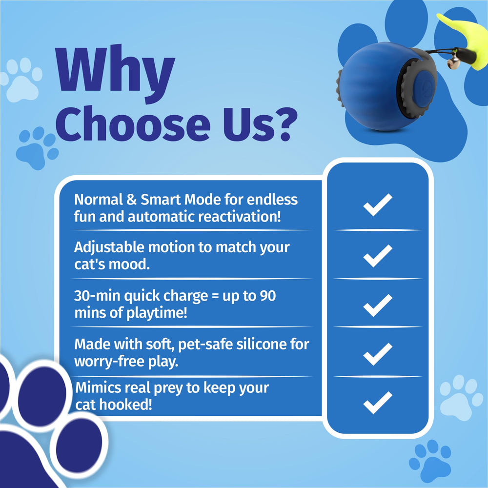WUSSIO durable silicone shell provides long-lasting, engaging toy play.