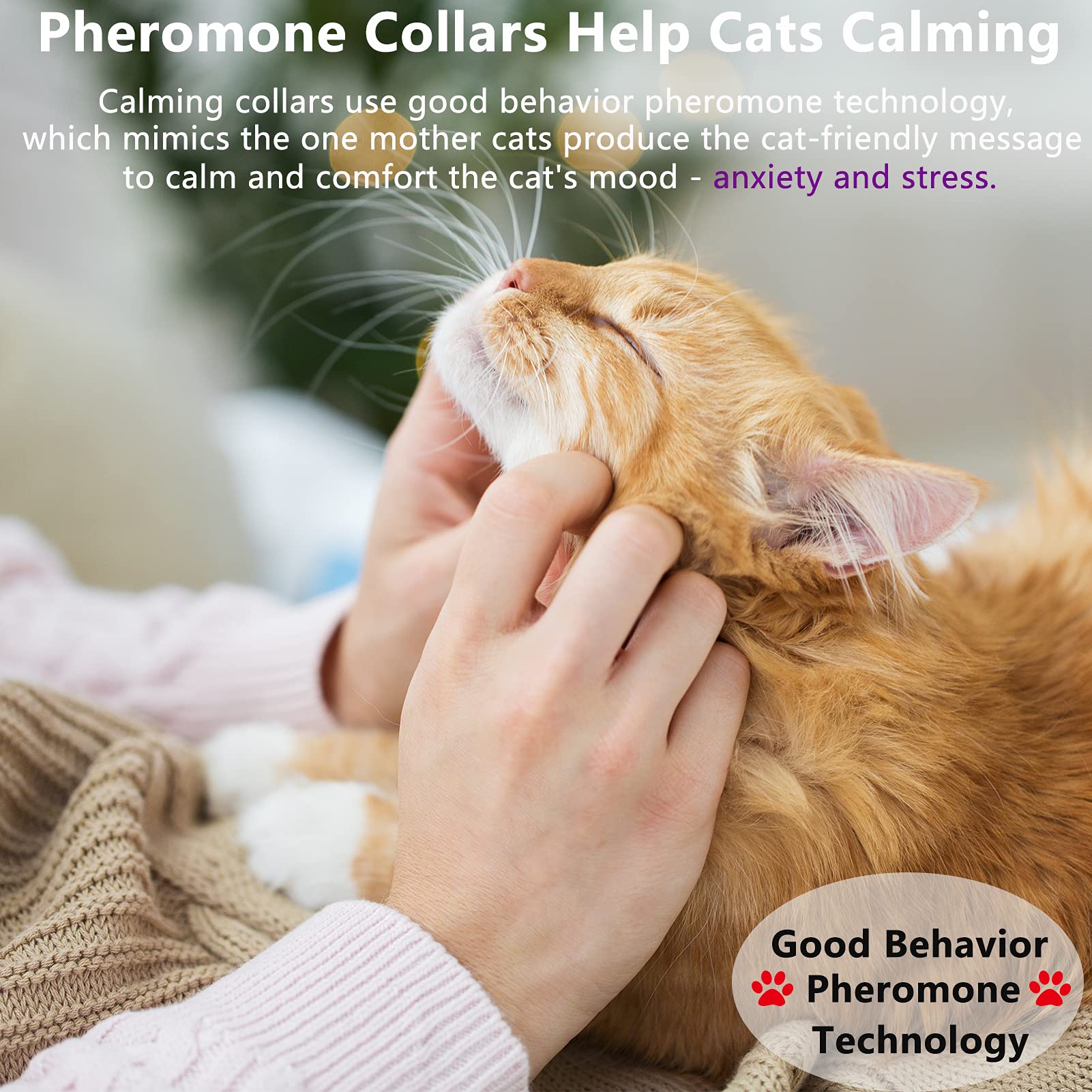 Wustentre 15-inch collar length, suitable for most cats seeking calm.
