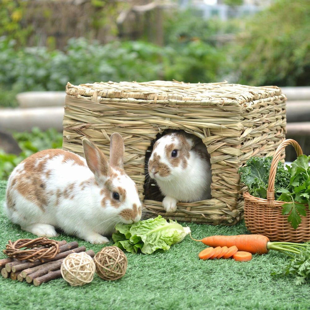 WUWEOT Grass Bunny House detailed weave emphasizes natural texture