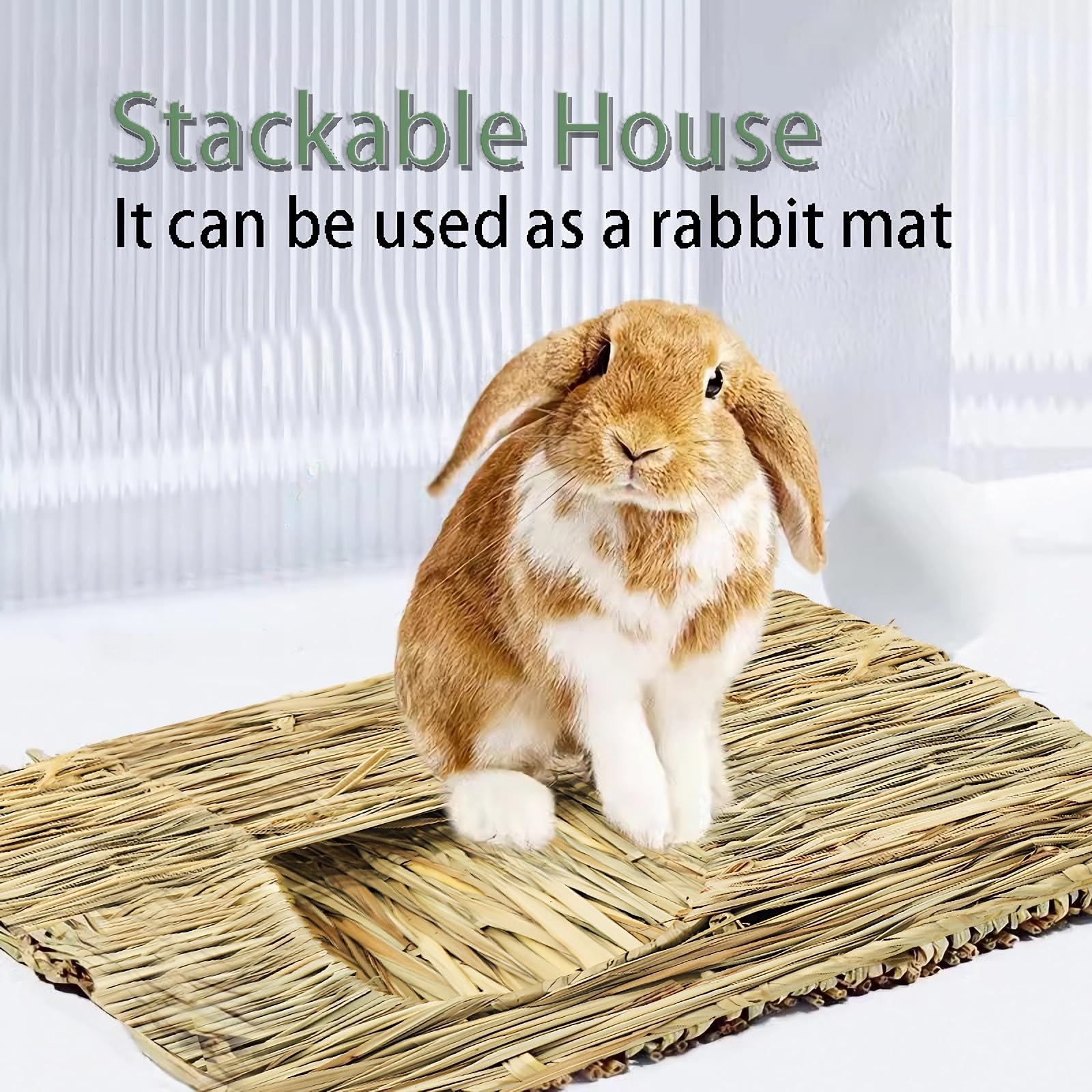 WUWEOT Grass Bunny House nose-peeking moment for playful pets
