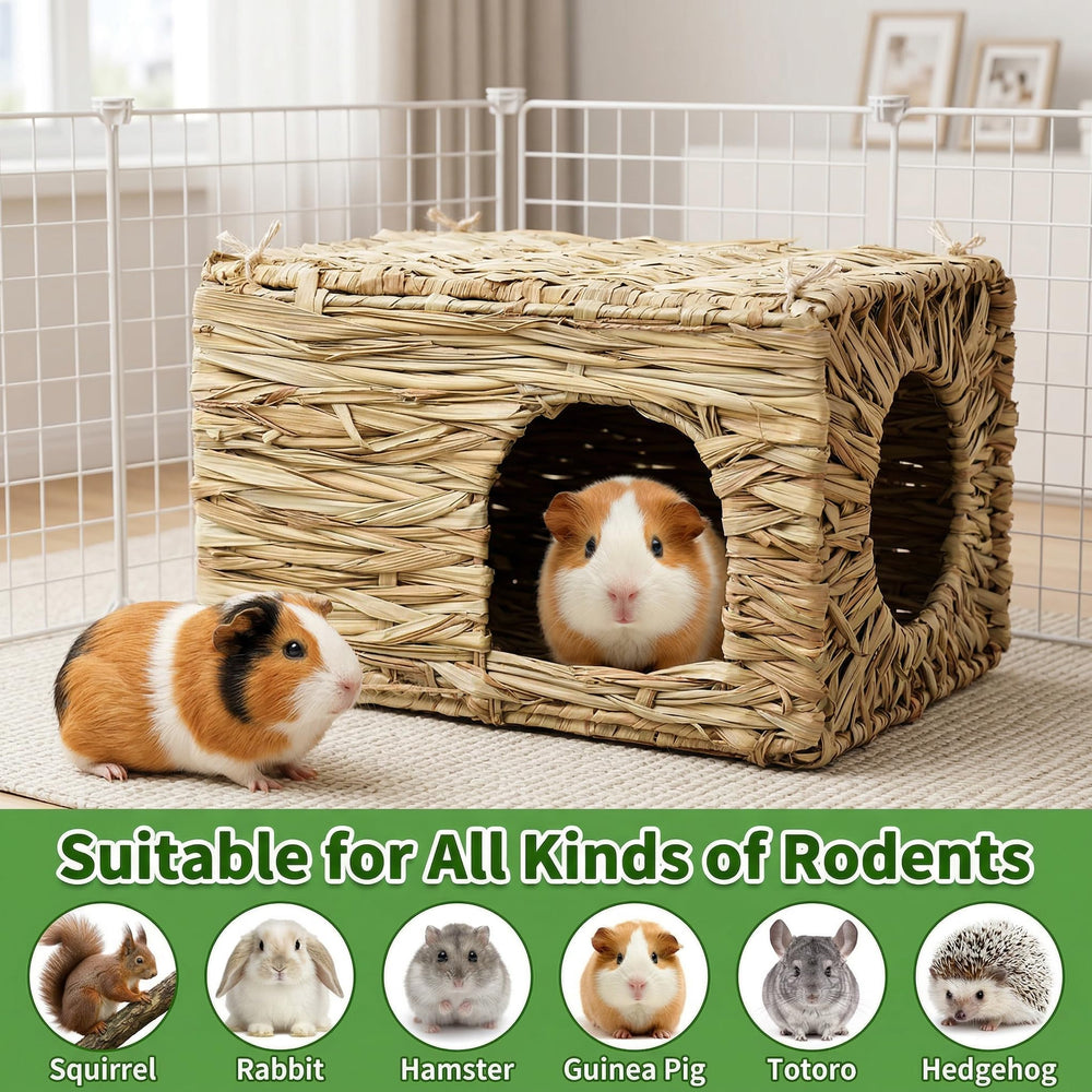 WUWEOT Grass Bunny House two-pack highlights value for multiple zones