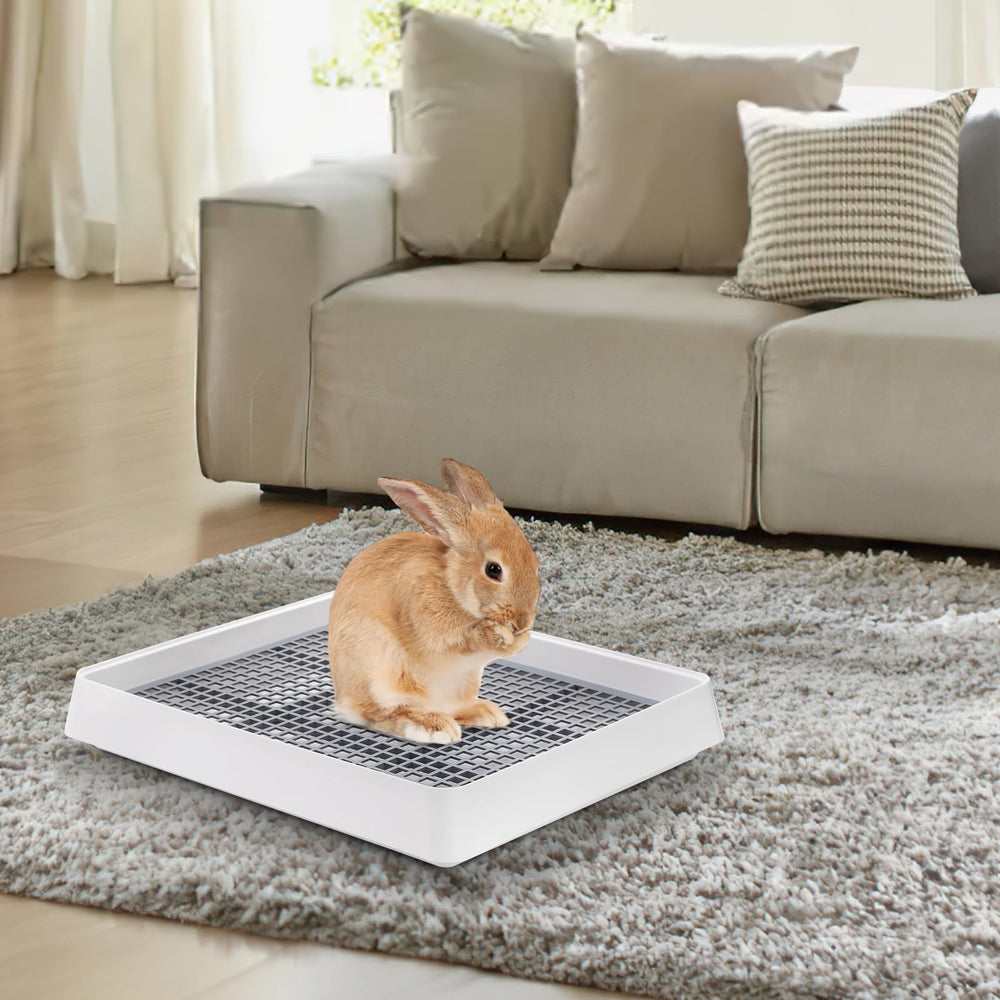 WUWEOT versatile potty trainer for rabbits, guinea pigs, and chinchillas