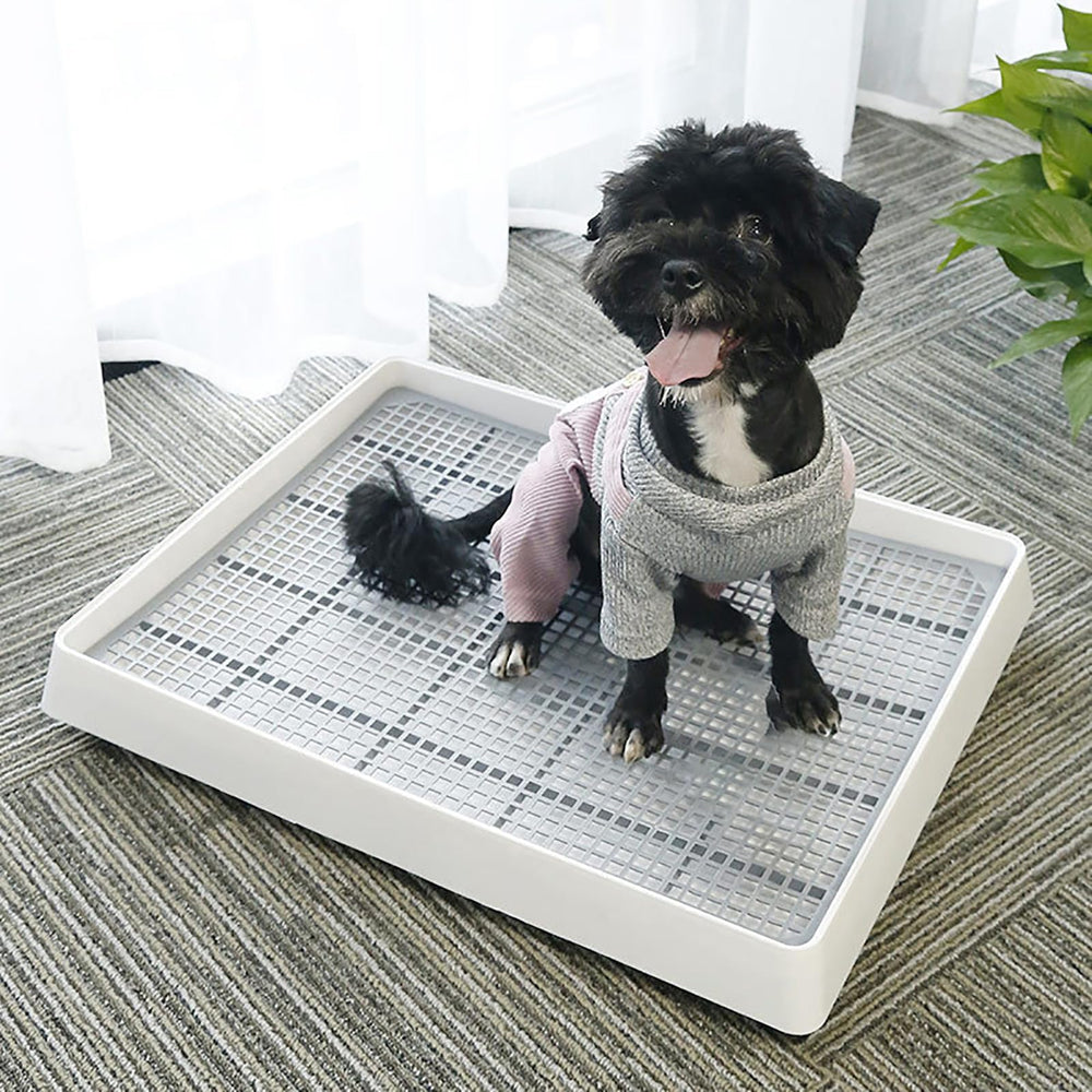 WUWEOT corner-friendly litter tray fits in small animal habitats