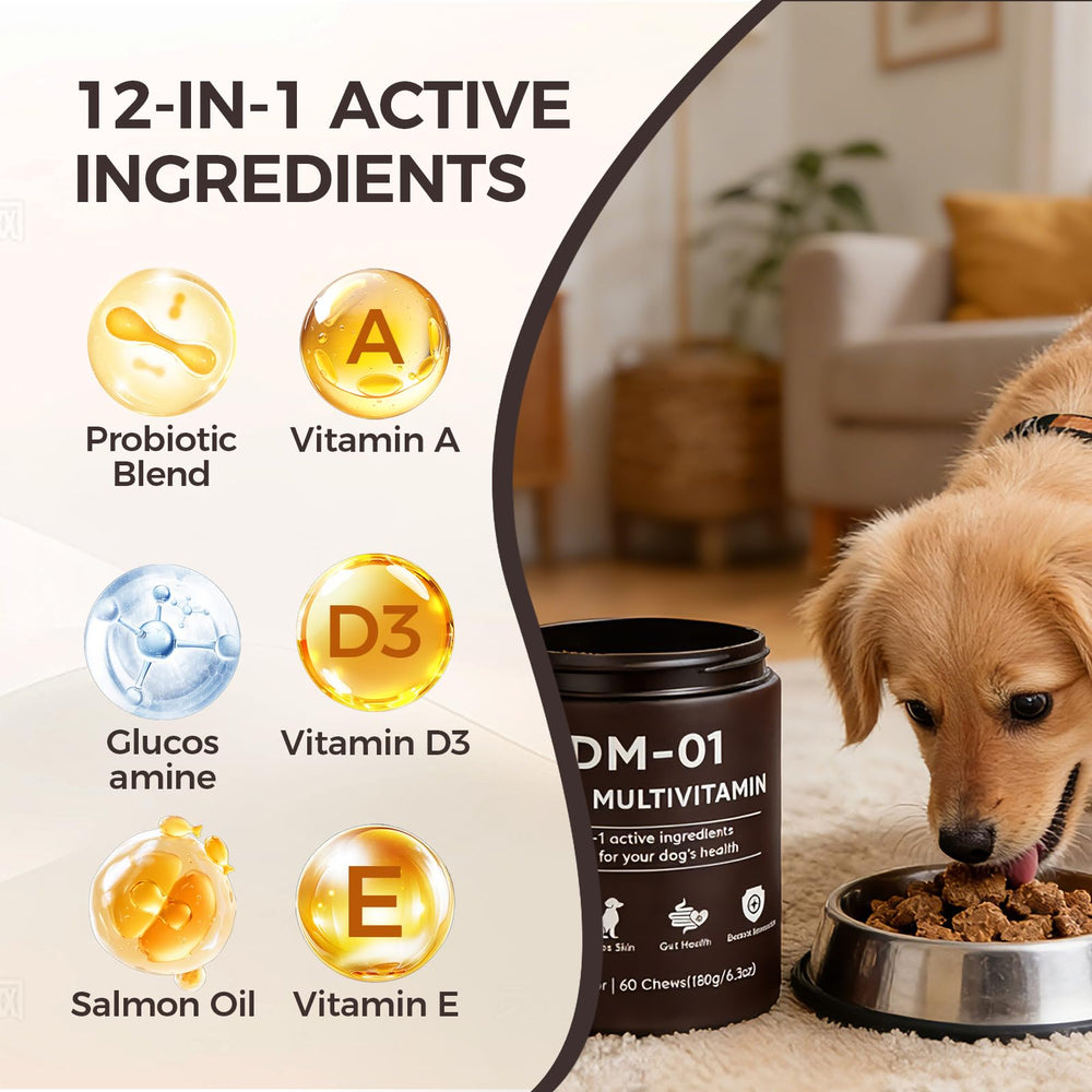 Wvnscl DM-01 formula with salmon oil supports coat shine and skin health.