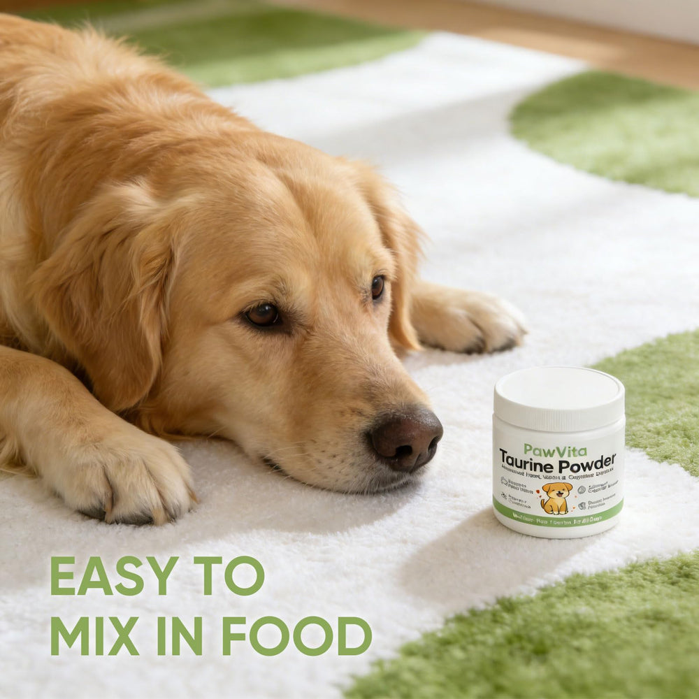 Happy dog enjoying breakfast with PawVita Taurine Powder nearby.