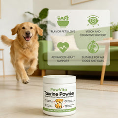 Dosing scoop with PawVita Taurine Powder ready to blend into dog meals.