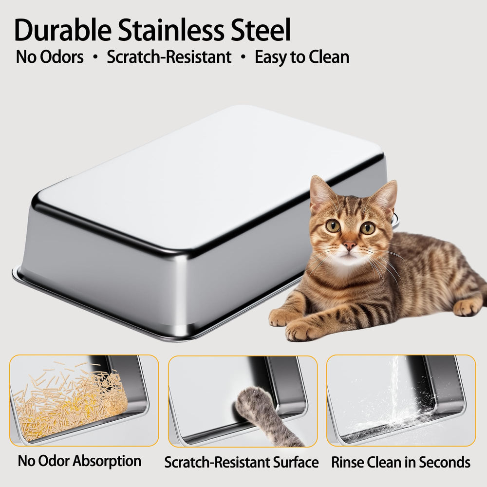 Wynsylis XL roomy space ideal for multi-cat homes needing larger solution
