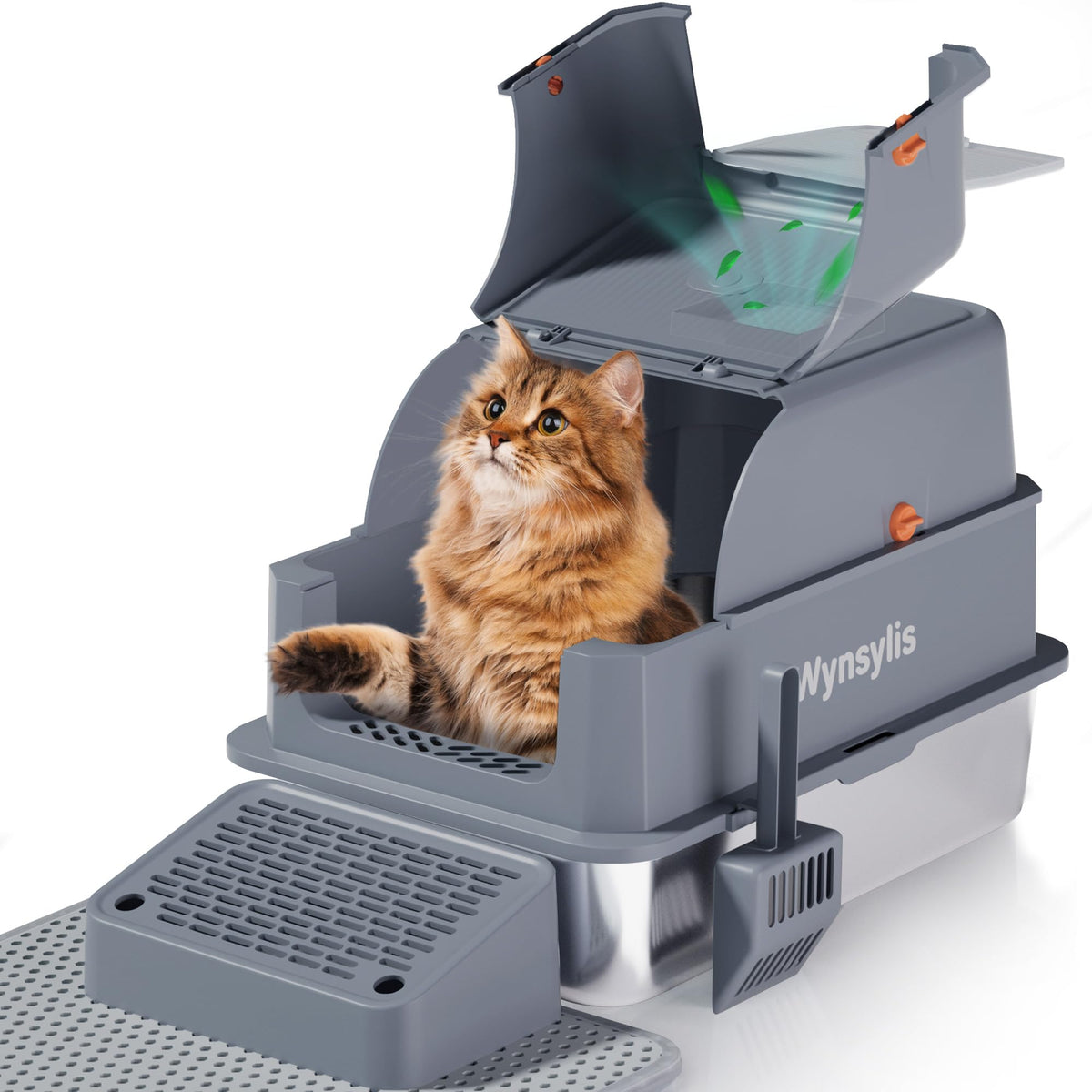 Wynsylis XL stainless steel litter box with lid, ensuring privacy and containment for mess-free use