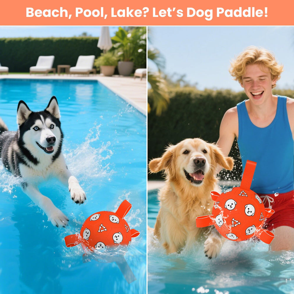 WYNTRIUM ball designed for medium to large dogs for active training.