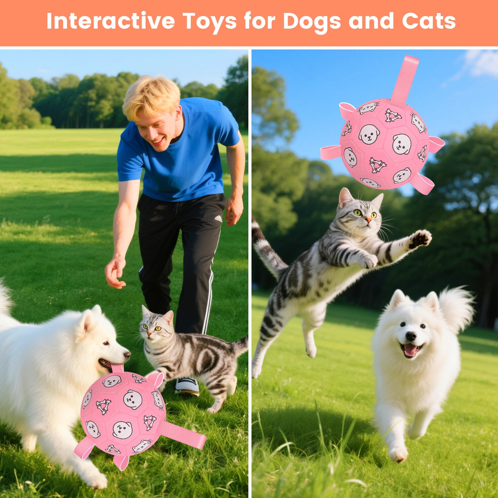WYNTRIUM packaging makes a ready-to-gift option for dog birthdays.