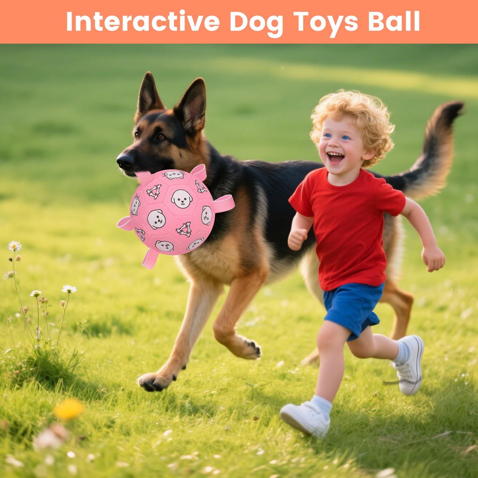 WYNTRIUM large-size ball suits medium to large dogs 30–90 lbs.