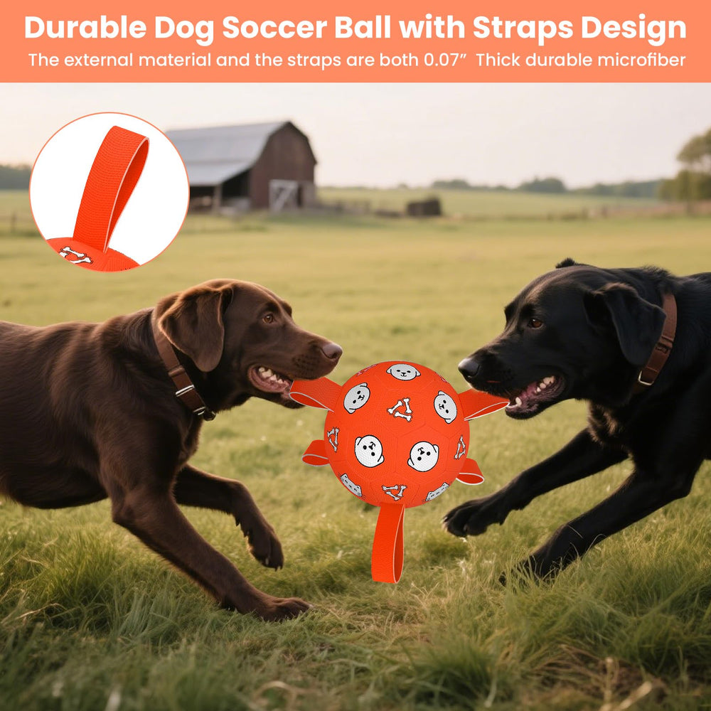 WYNTRIUM dog ball with pump included for quick setup and play.