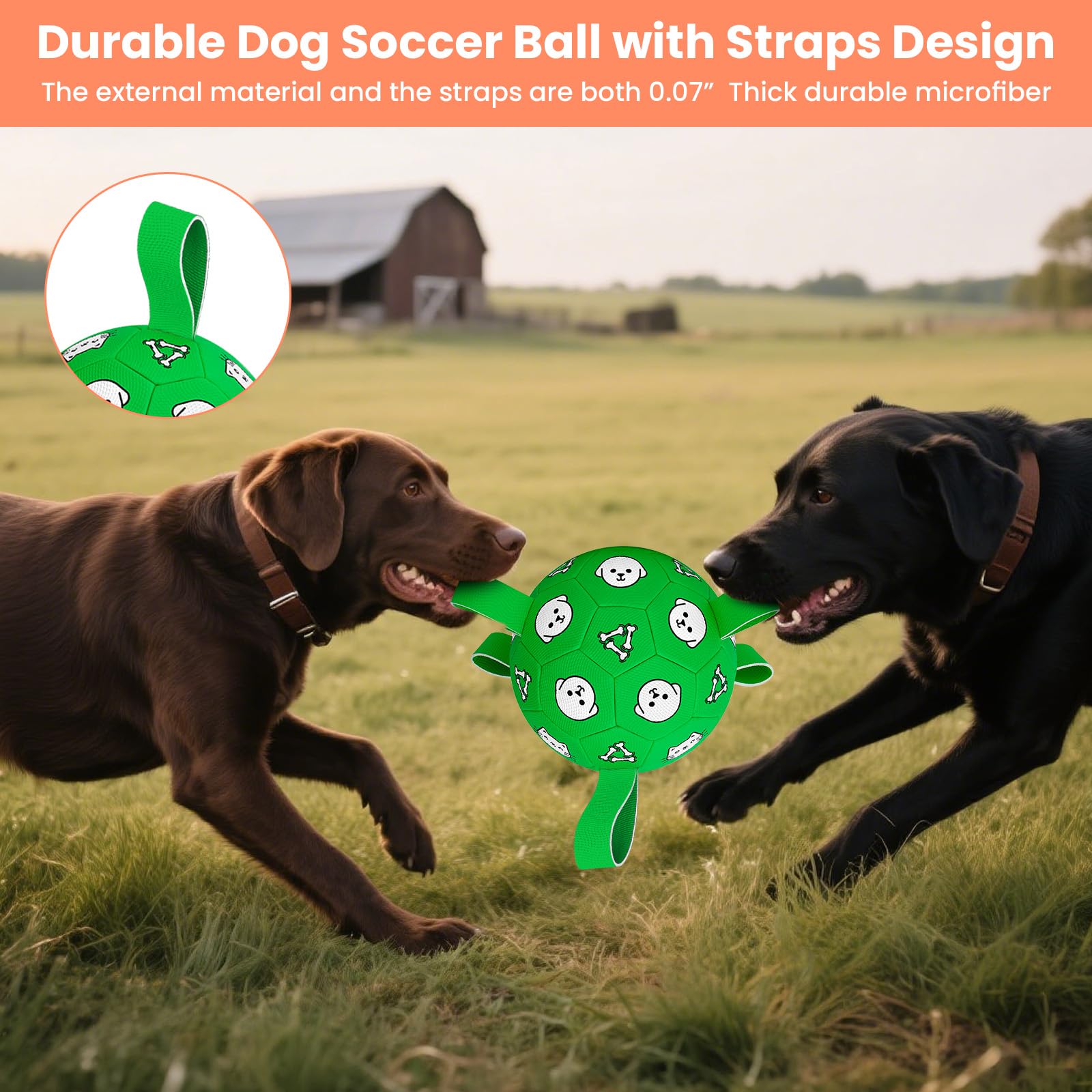WYNTRIUM dog soccer ball with pump included, front view, quick inflation for immediate fun