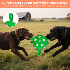 WYNTRIUM dog soccer ball with pump included, front view, quick inflation for immediate fun