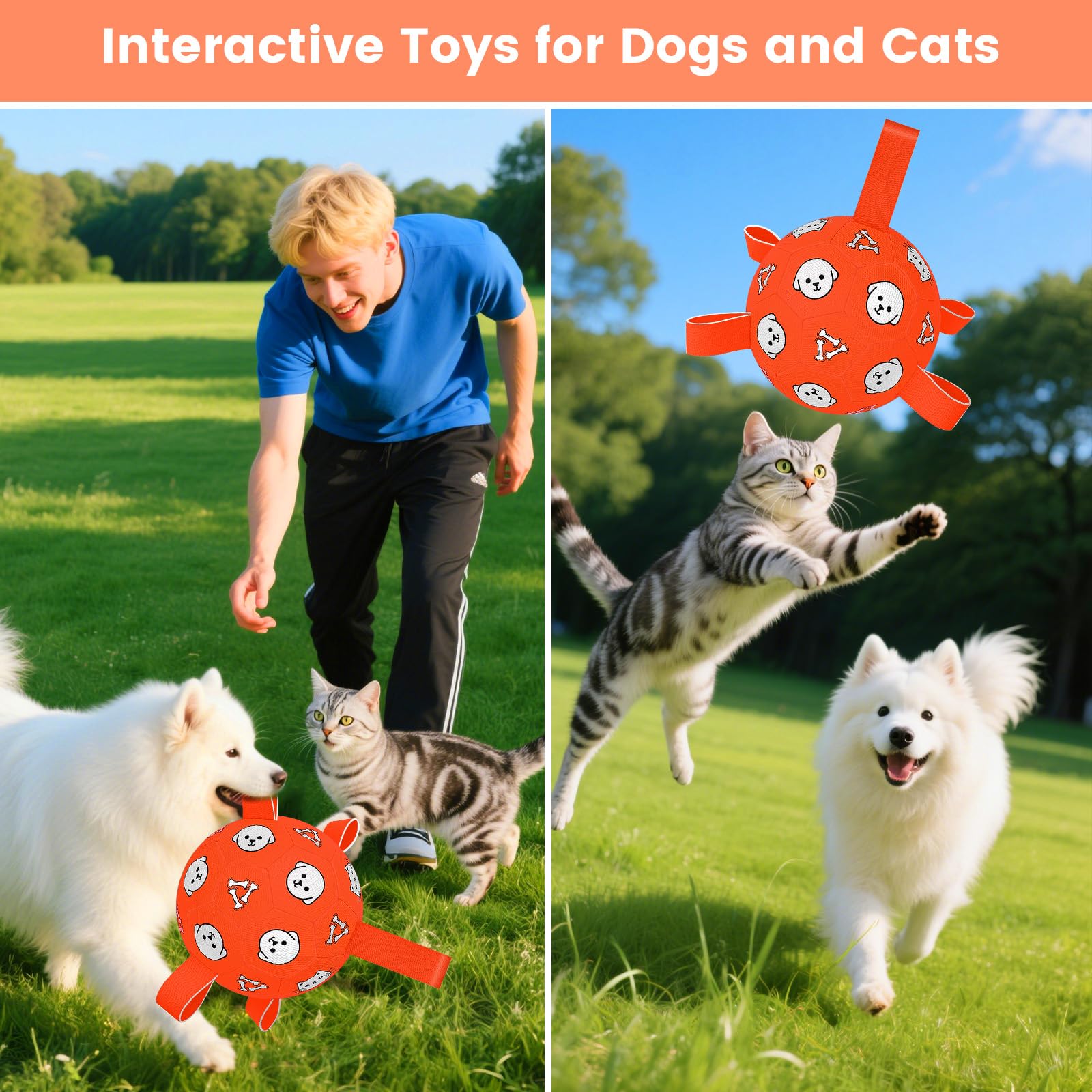 WYNTRIUM dog ball with reinforced stitching for daily fetch.