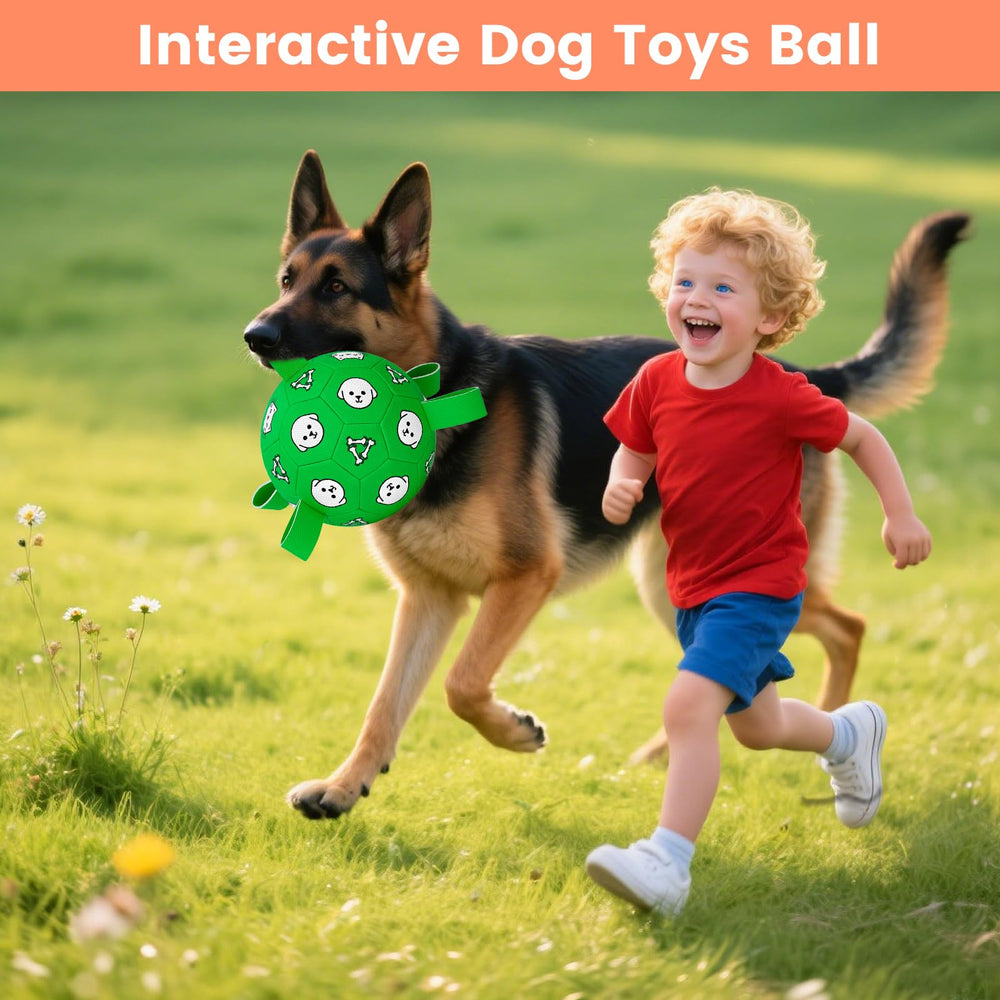 WYNTRIUM dog soccer ball warranty support, customer help available for concerns
