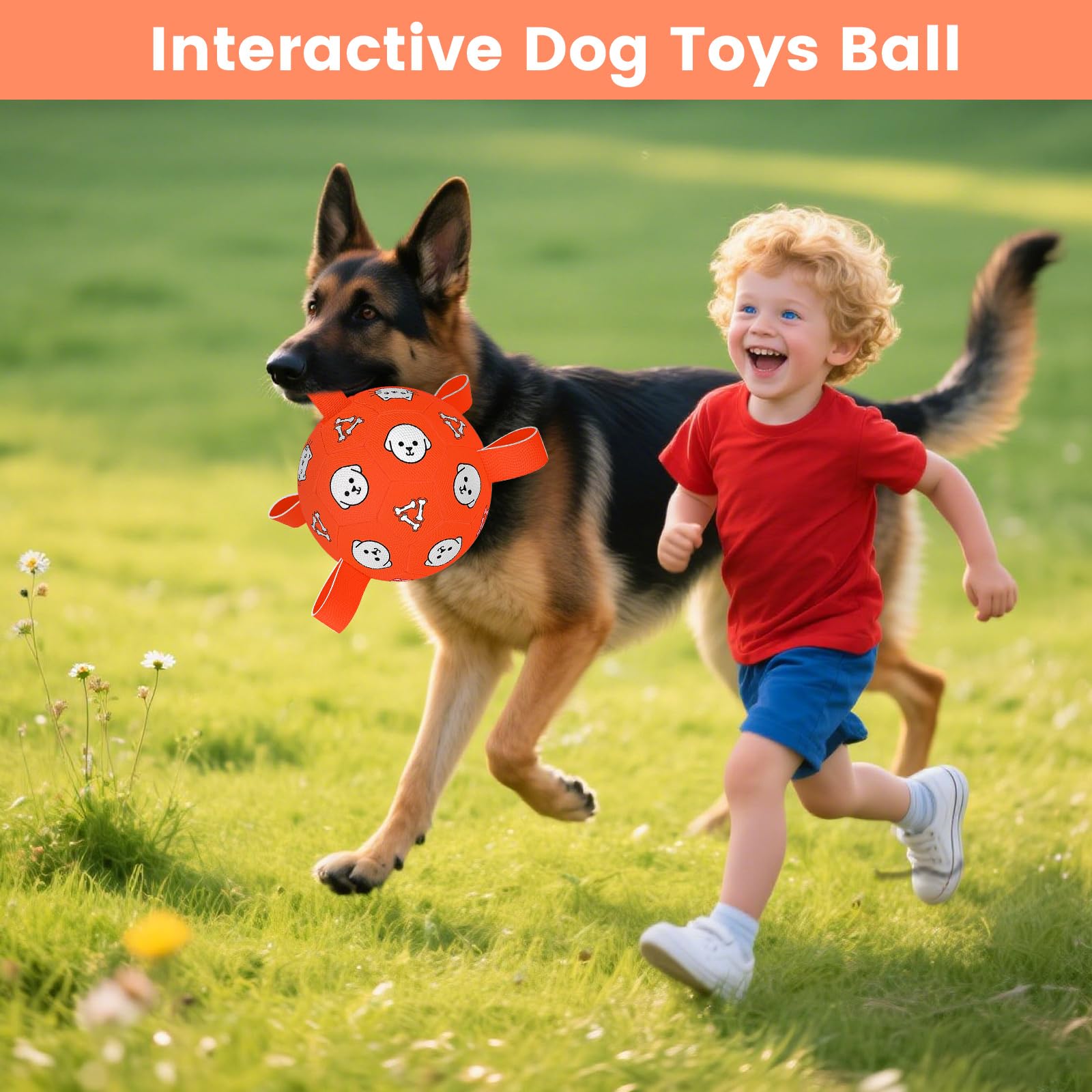 WYNTRIUM ball warranty and friendly support from the brand.