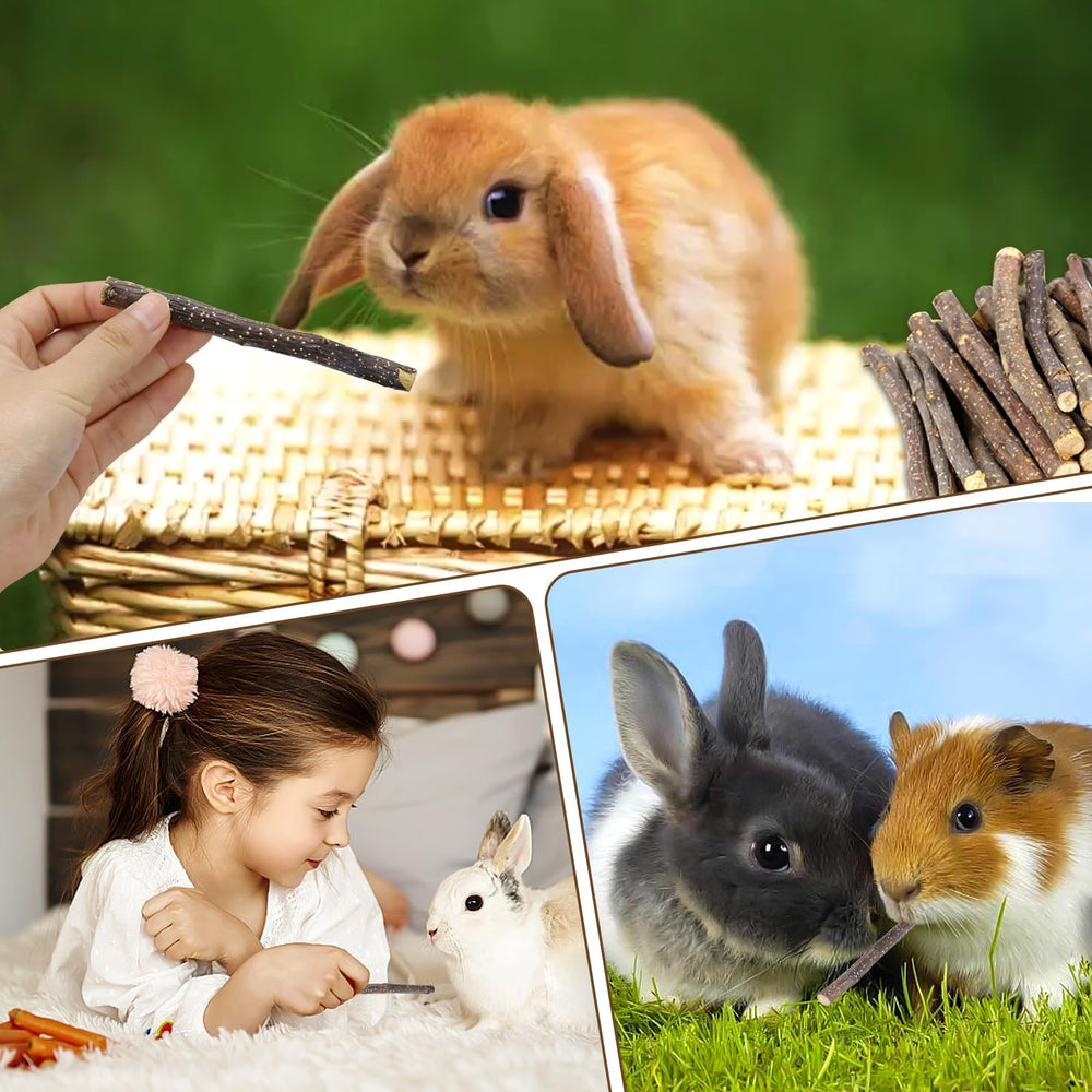 Wyomer rabbits apple-stick toy supports daily chewing and activity