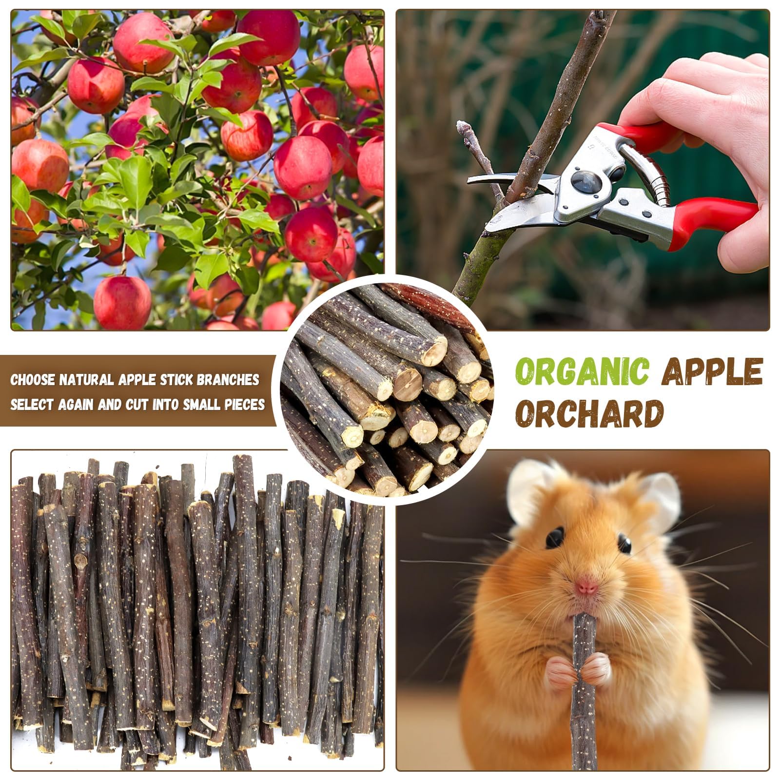 Wyomer small pets apple-sticks snack enhances flavor and enrichment