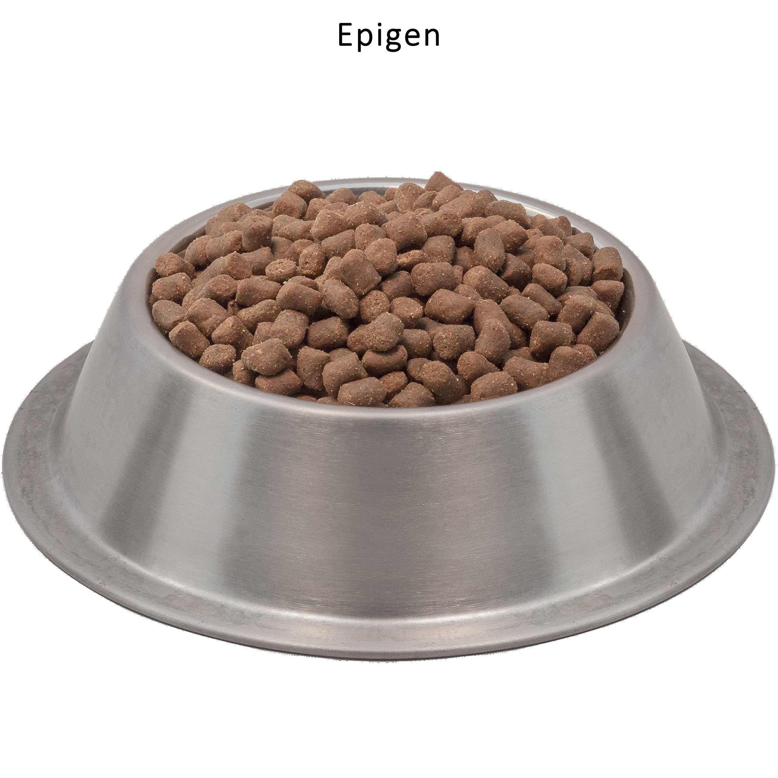 Wysong Epigen kibble in bowl emphasizing high meat content and natural flavor