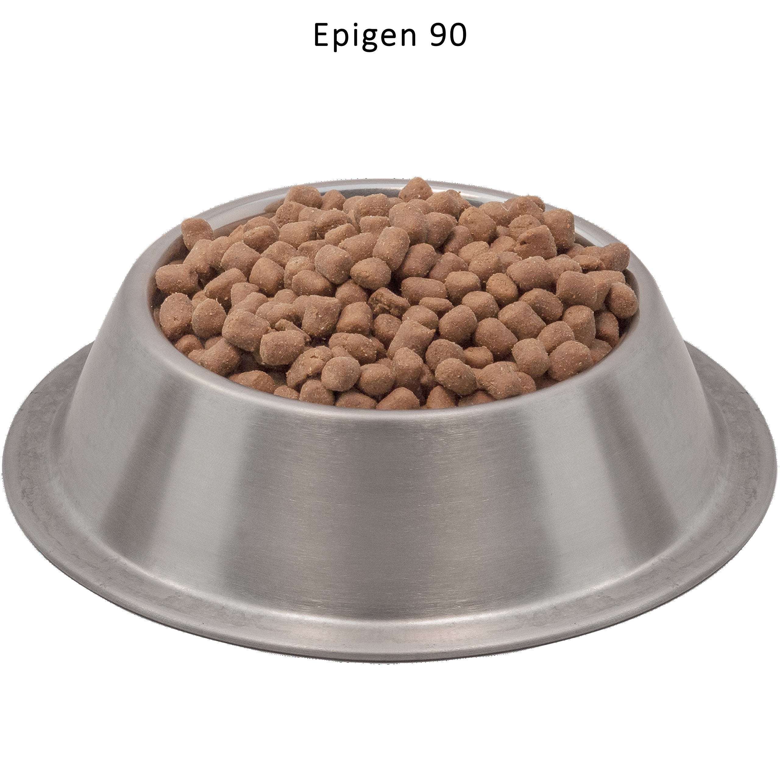Wysong Epigen90 probiotics and prebiotics ingredients supporting digestion