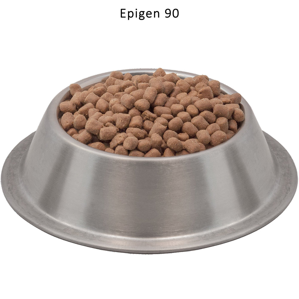 Wysong Epigen90 probiotics and prebiotics ingredients supporting digestion