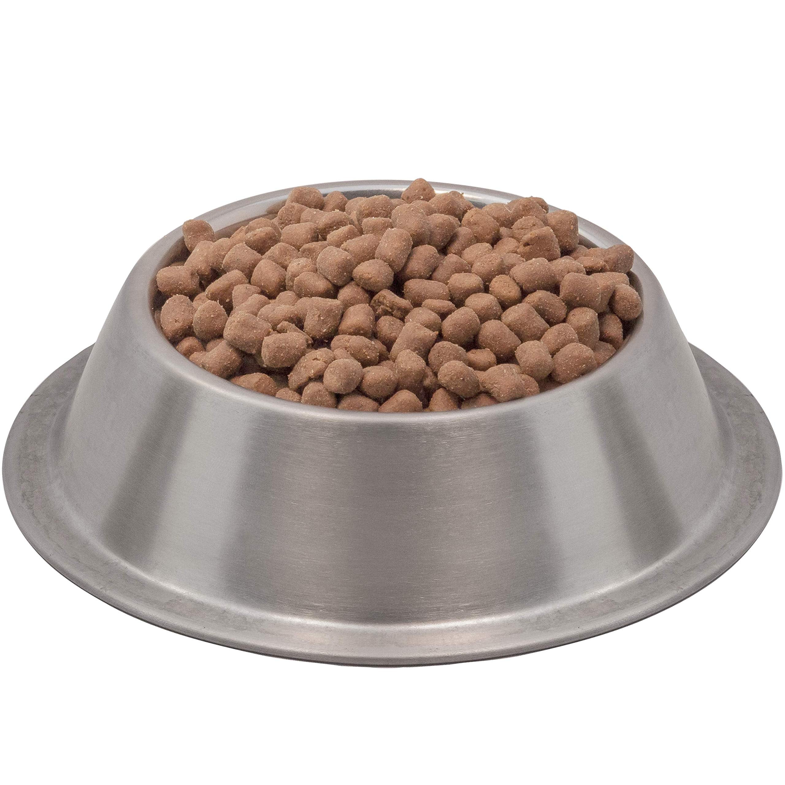 Wysong Epigen90 serving dish promotes portion control for pets