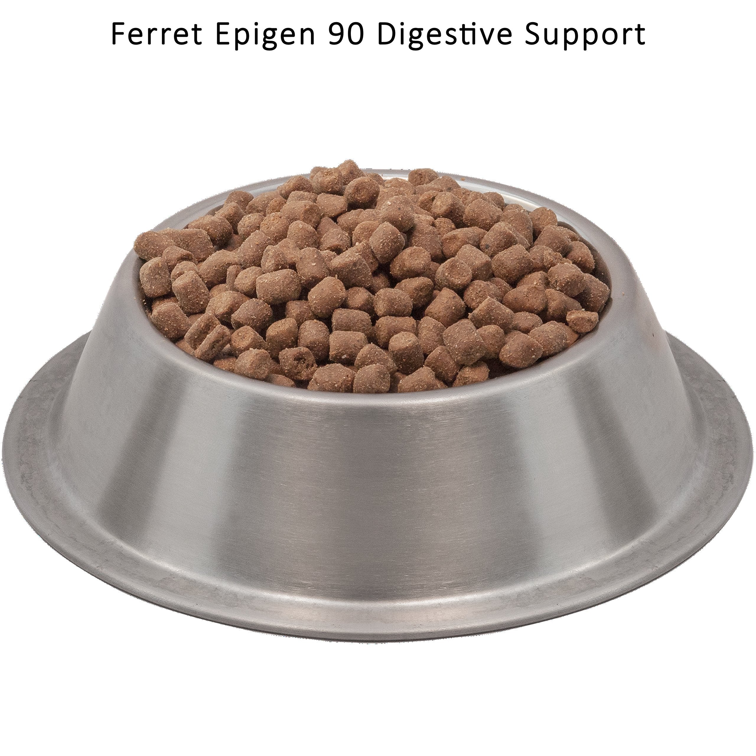 Close-up of Wysong Ferret Epigen 90 Digestive Support dry kibble, highlighting high meat content.