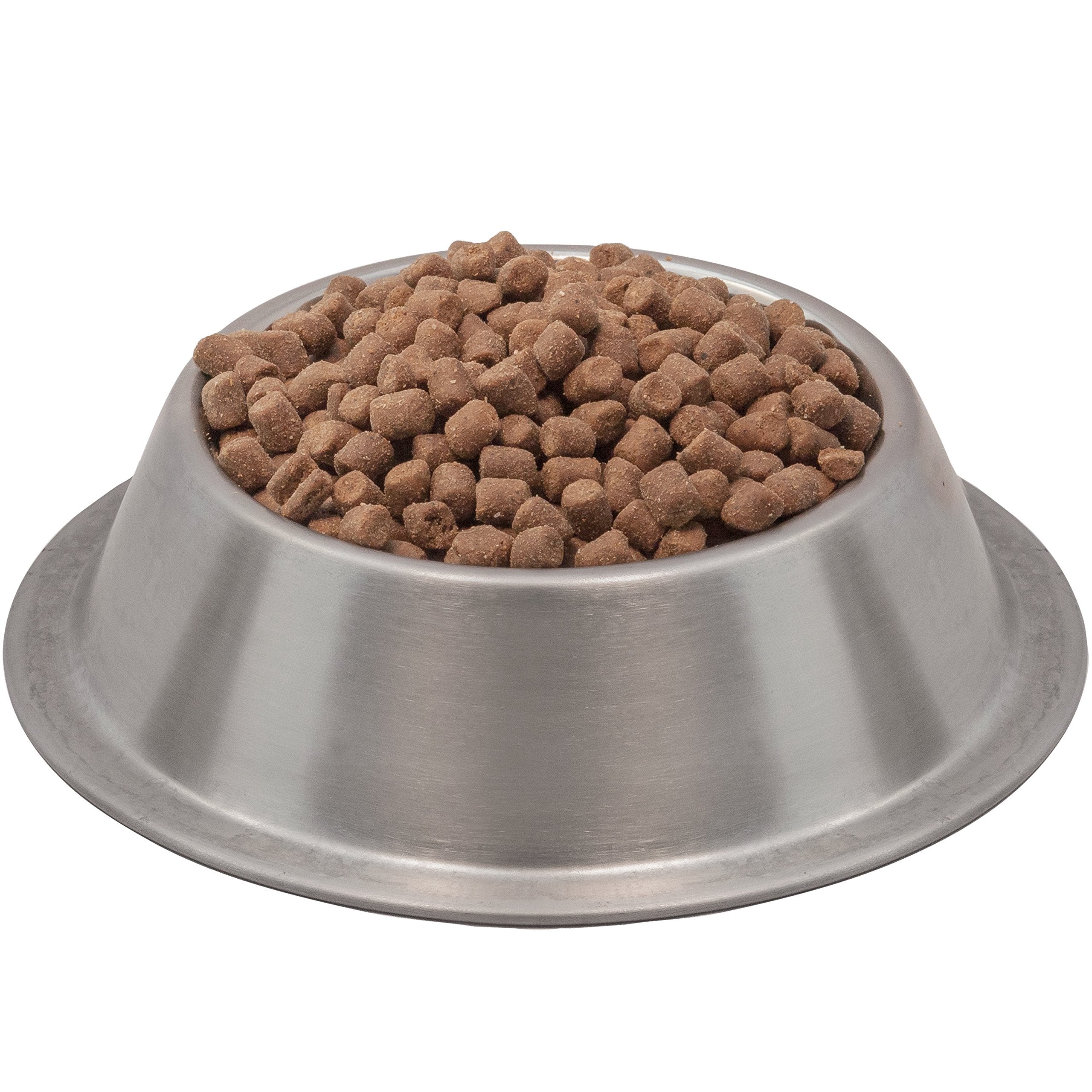 Ferret enjoying Wysong Epigen 90 Digestive Support during feeding.