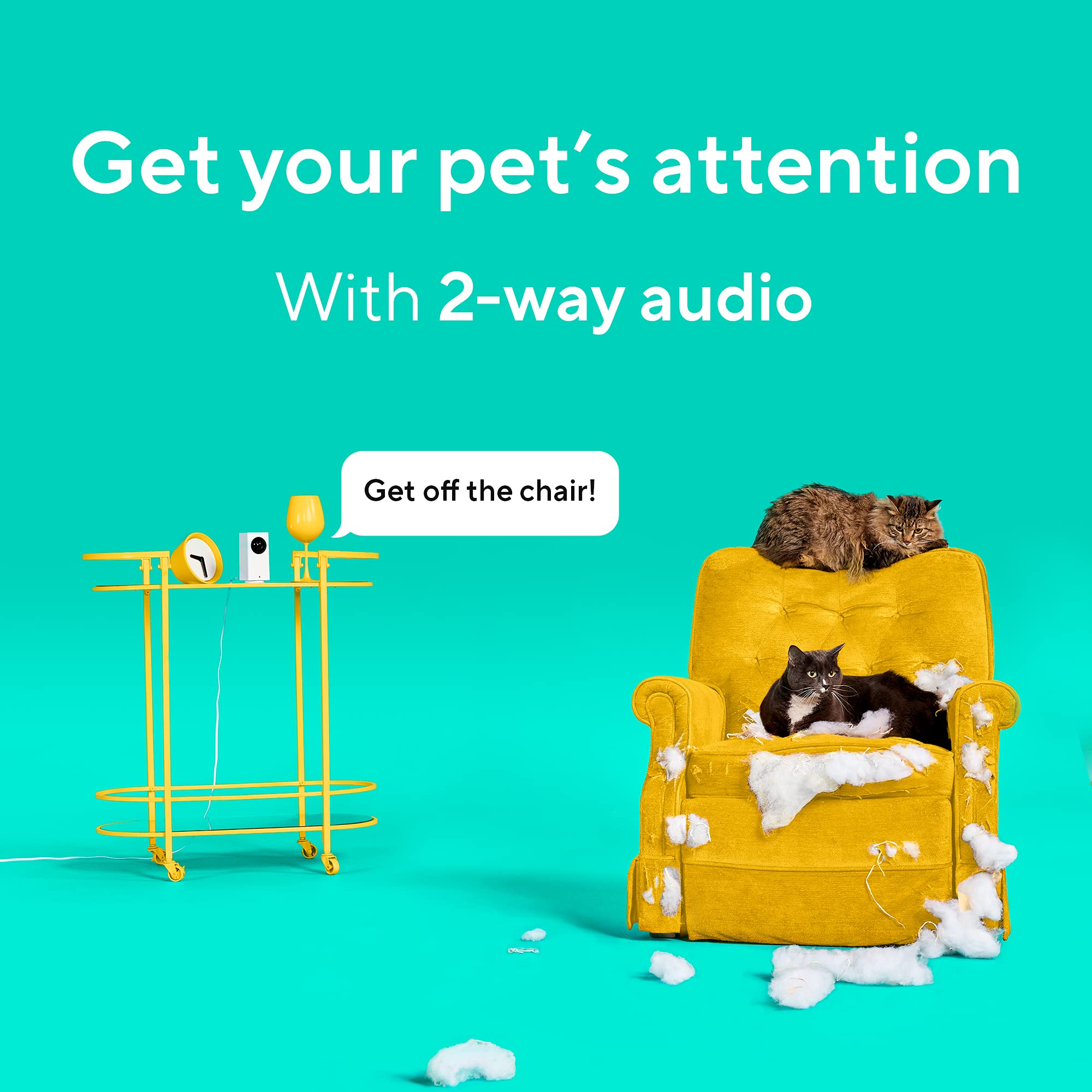 Wyze Cam Pan v2 app control enables remote viewing and setup from your phone.