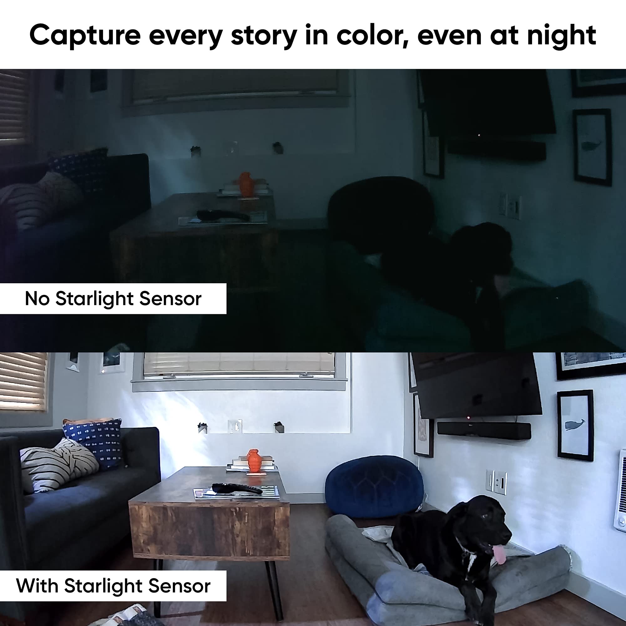 Wyze Cam Pan v2 color night vision preserves color detail in low light.