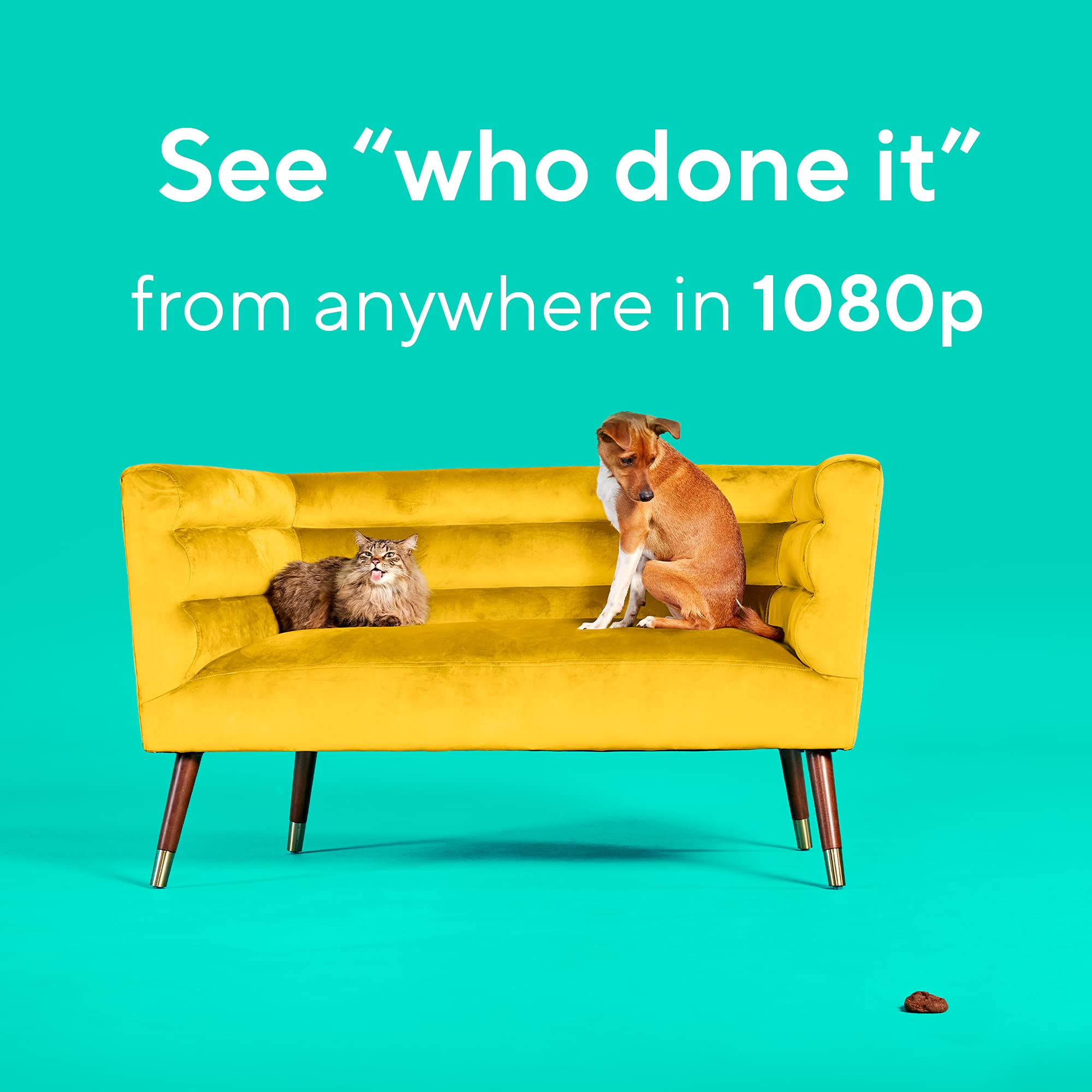 Wyze Cam Pan v2 pet monitoring helps you check on pets from anywhere.