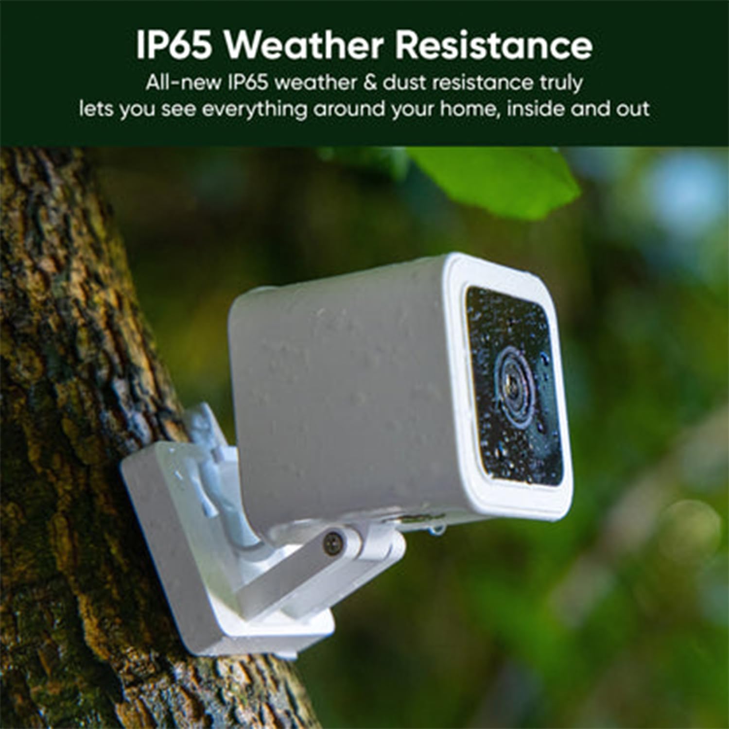 WyzeCam Cam v3 1080p live view provides sharp interior monitoring