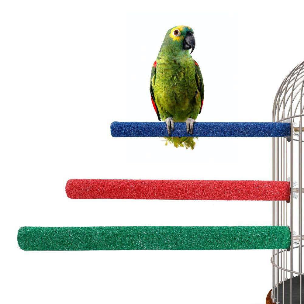 Wzttdm parrot perch stand adds color and activity to the cage.