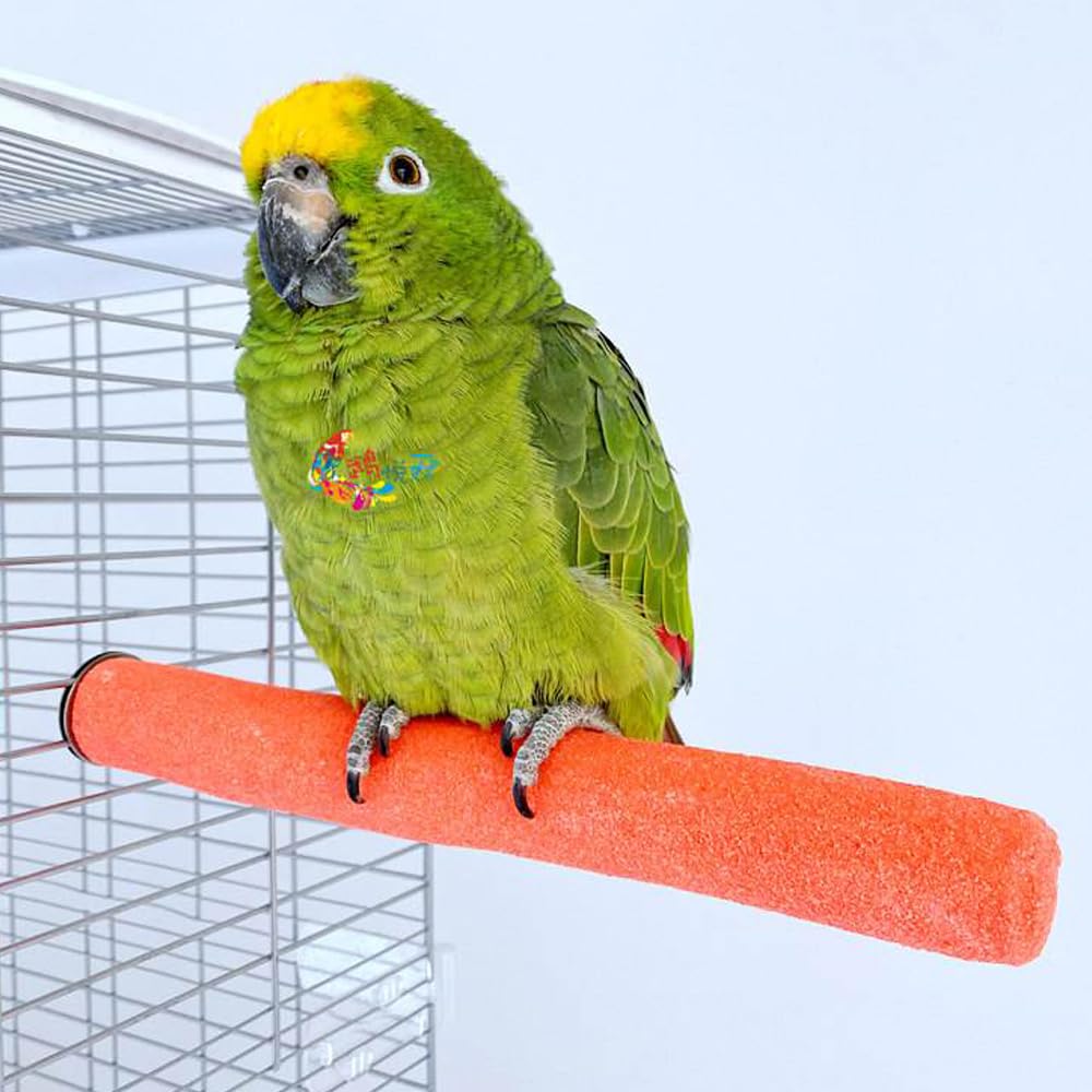 Wzttdm parrot perch stand ideal for parakeets and cockatiels.
