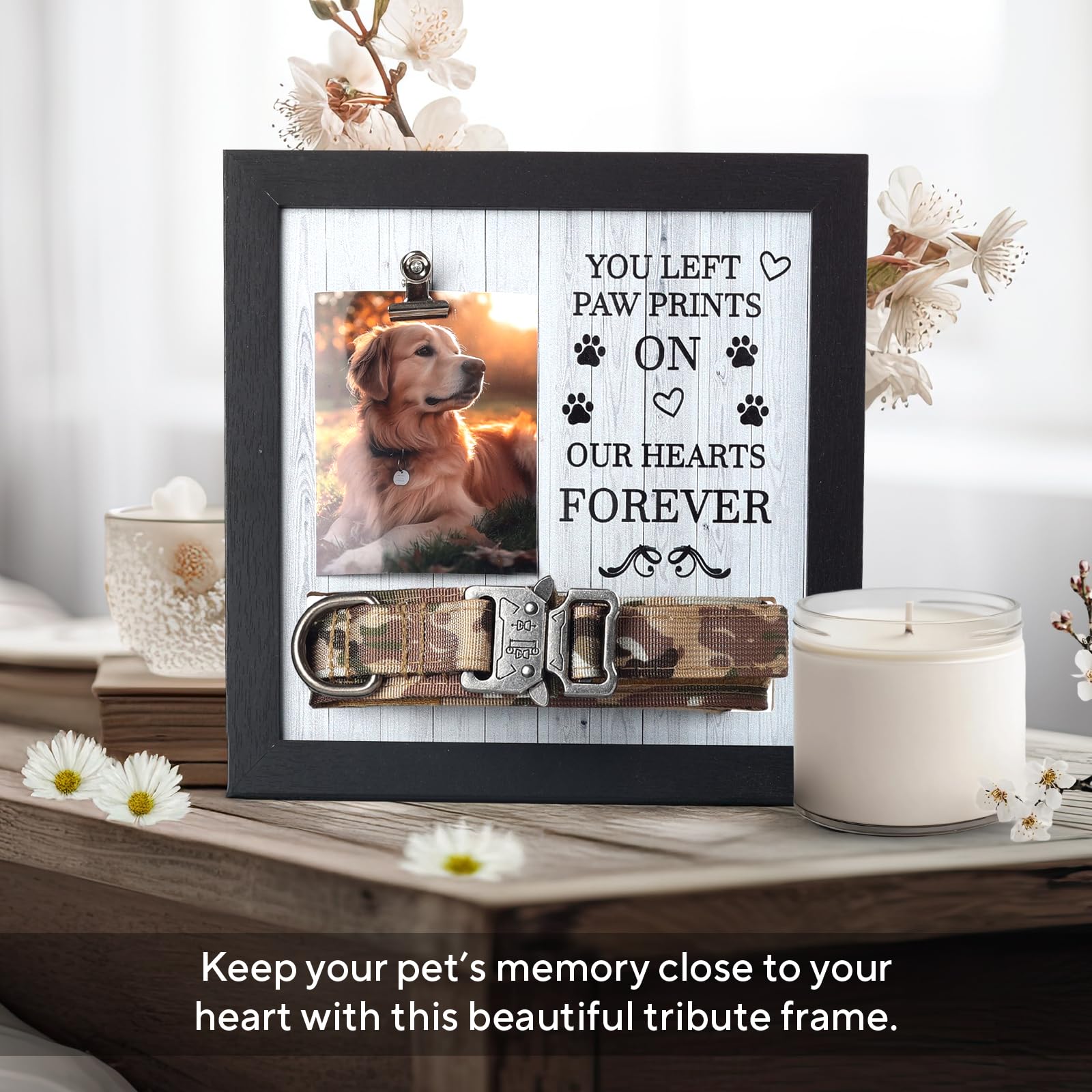 X-partner display frame showing photo and collar for lasting remembrance