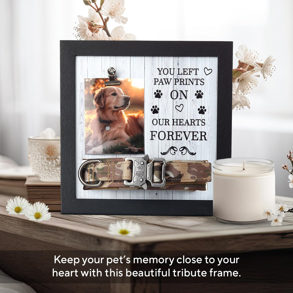 X-partner display frame showing photo and collar for lasting remembrance