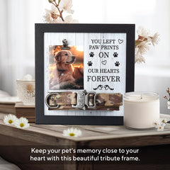 X-partner display frame showing photo and collar for lasting remembrance
