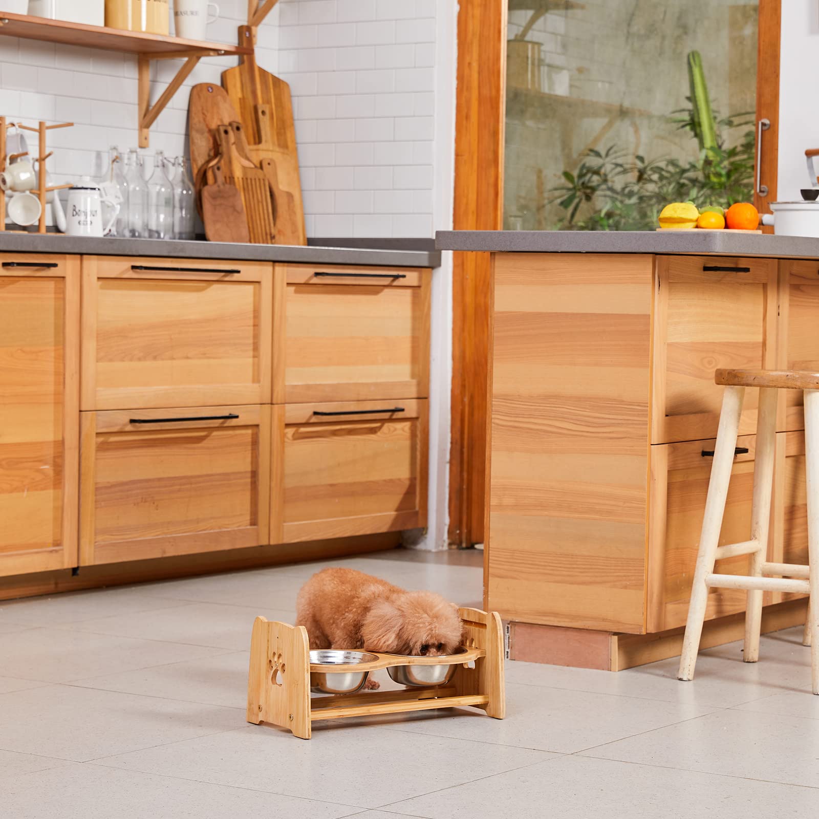 X-ZONE PET natural bamboo stand: sturdy and eco-friendly