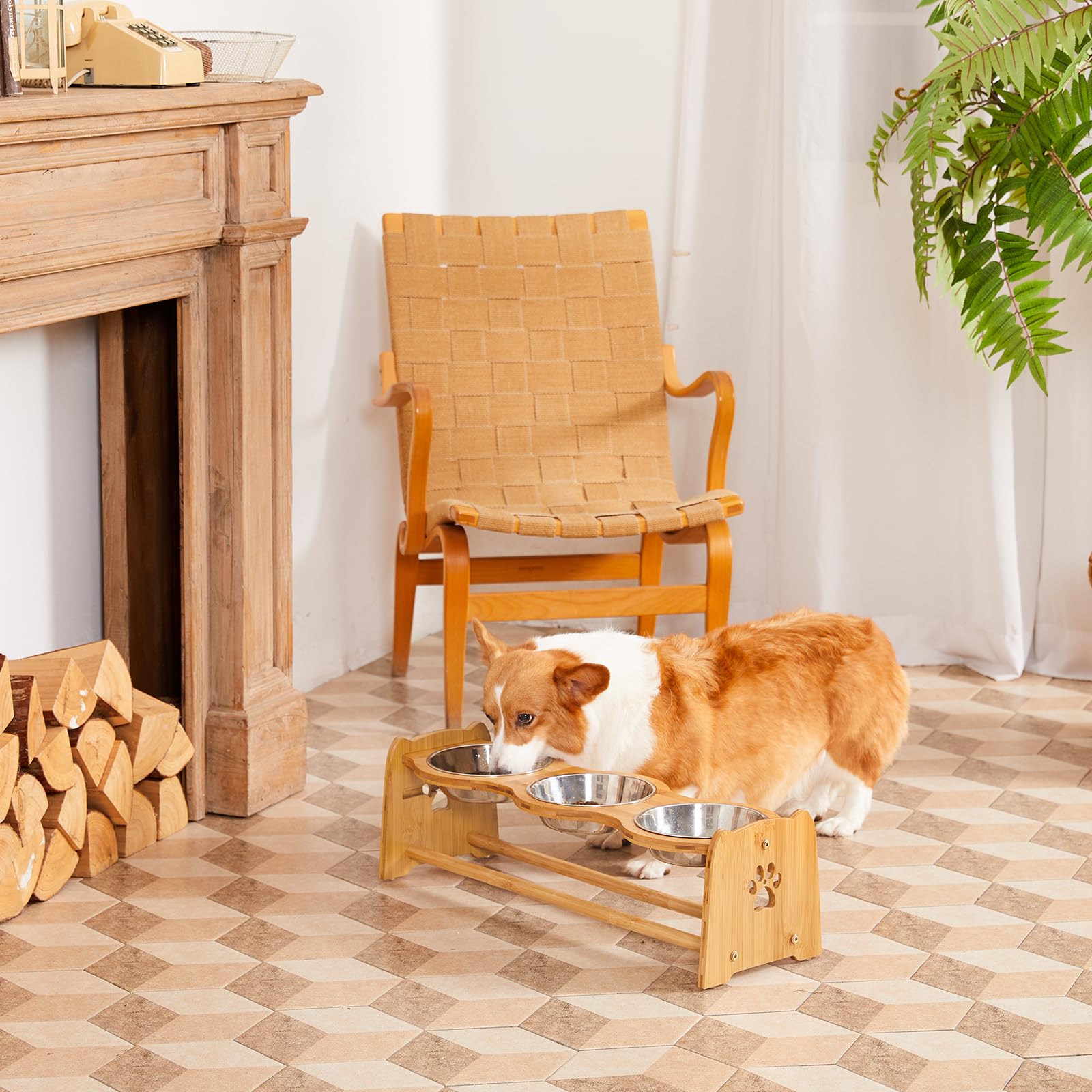 X-ZONE PET elevated bowls dining scene showing cat and dog friendly setup