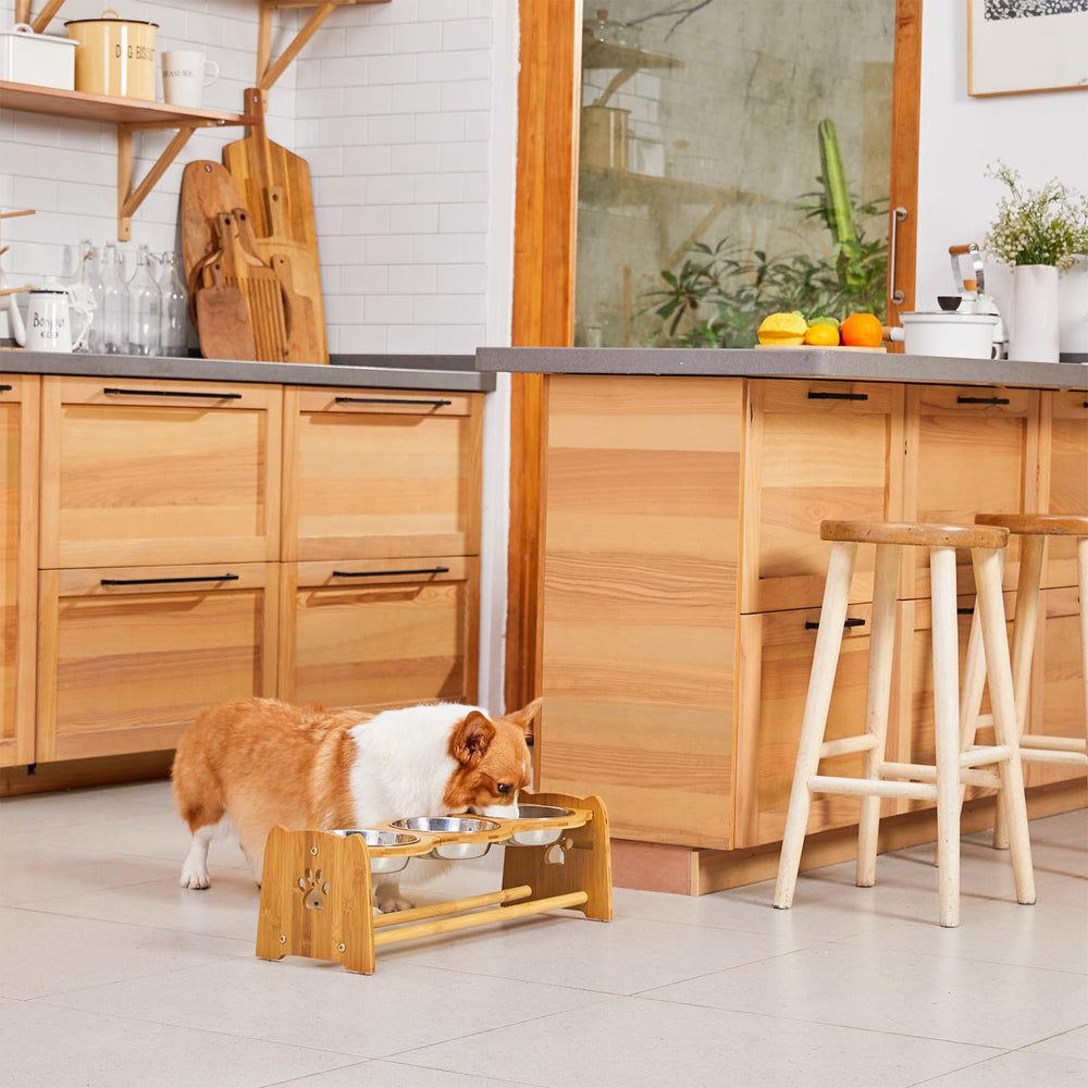 X-ZONE PET elevated bowls stainless bowls are easy to clean and sanitize