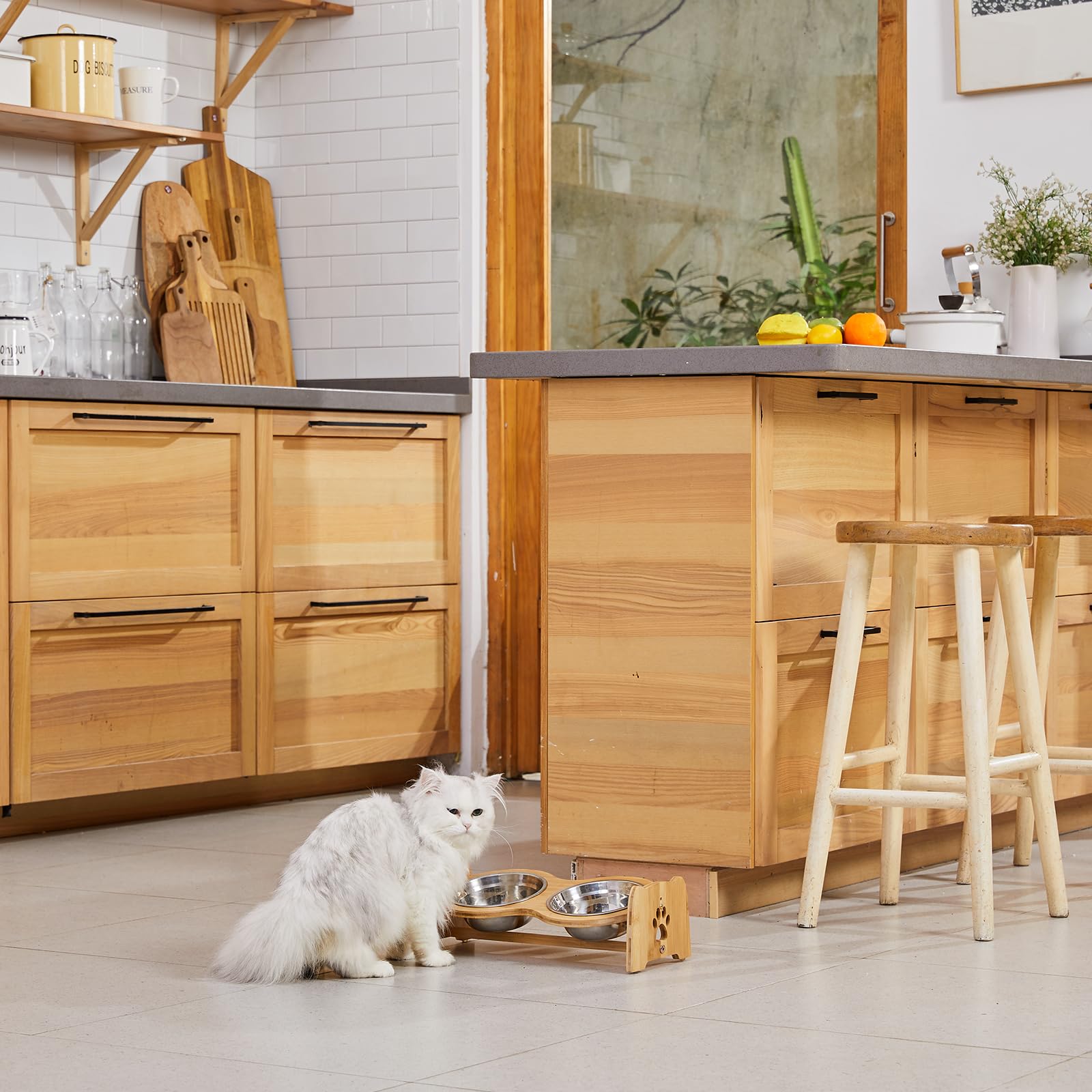 X-ZONE PET height adjustable stand from 4 to 4.5 inches.